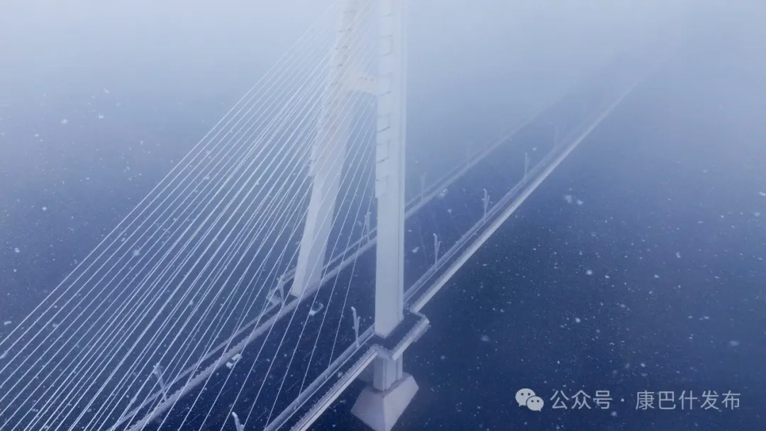 迎初雪.jpg